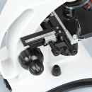 Микроскоп Delta Optical BioLight 300 (c USB-камерой)